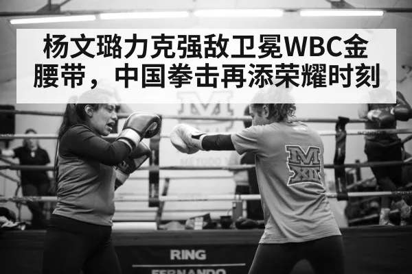 杨文璐力克强敌卫冕WBC金腰带,中国拳击再添荣耀时刻