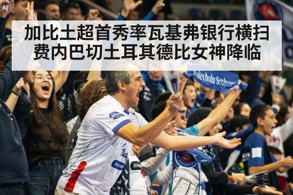 volleyball stadium crowd